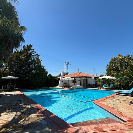 Country House With Pool And Big Garden Oropos Dış mekan fotoğraf